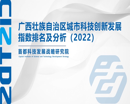 爆操老肥逼【成果发布】广西壮族自治区城市科技创新发展指数排名及分析（2022）